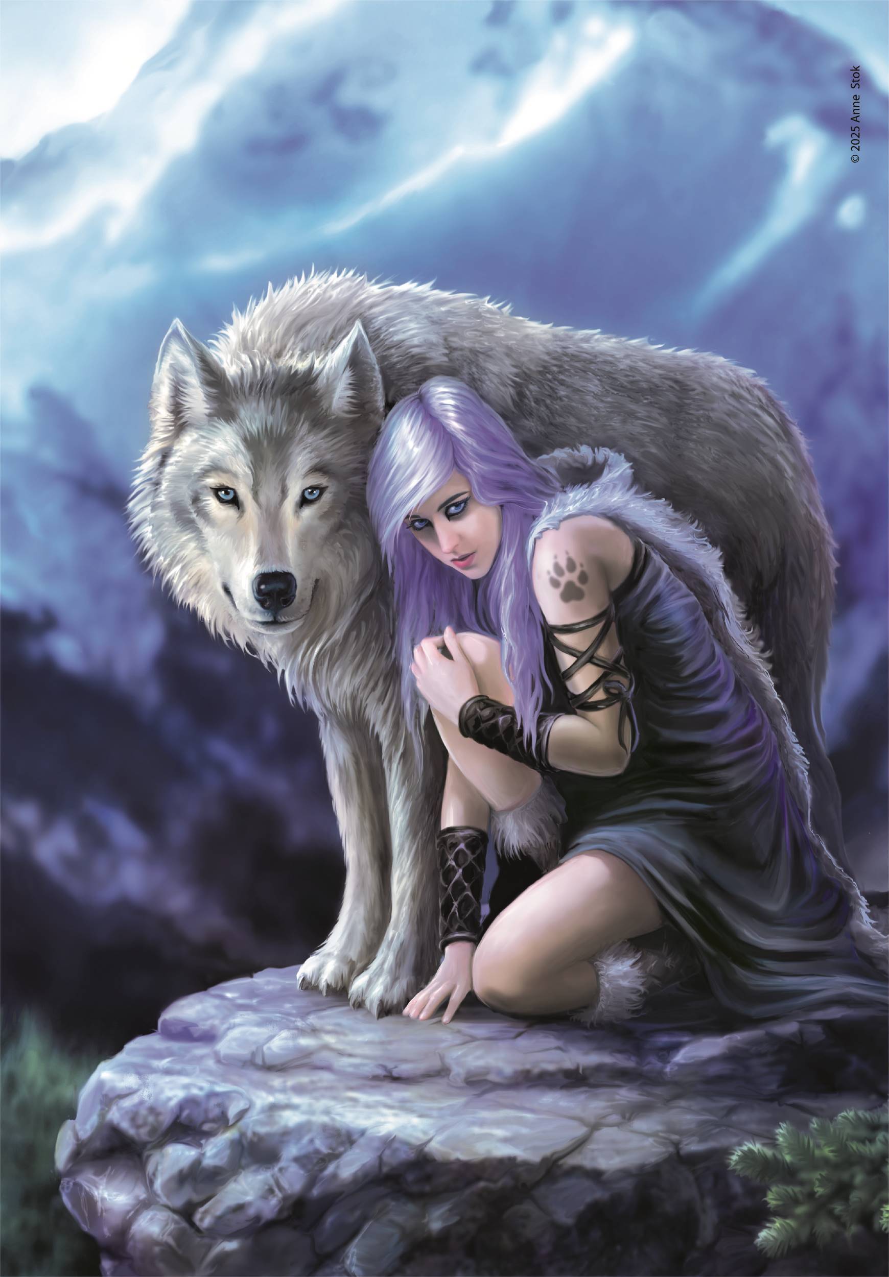 Clementoni Anne Stokes Protector