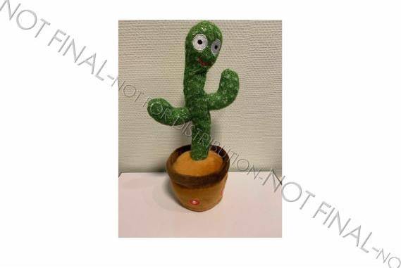 Dancing Cactus
