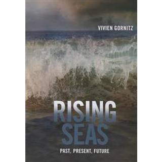 Rising Seas