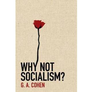 Why Not Socialism?