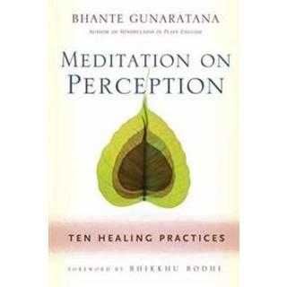 Meditation on Perception