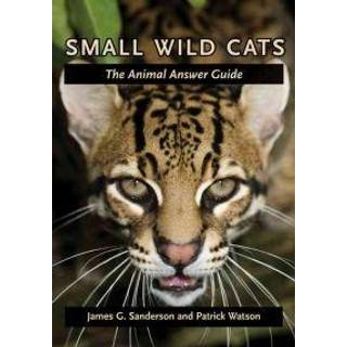 Small Wild Cats