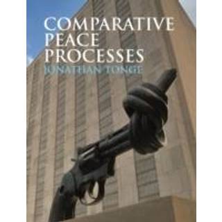 Comparative Peace Processes