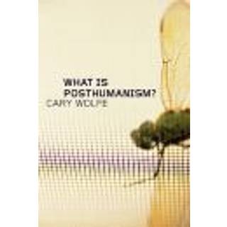 What Is Posthumanism?
