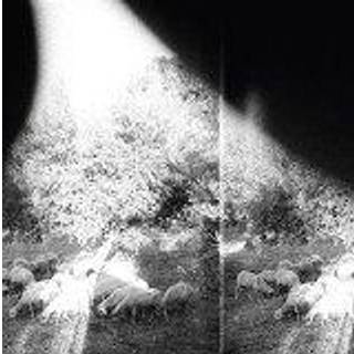 Godspeed You! Black Emperor - Asunder, Sweet & Other Distress
