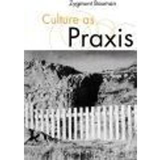 Culture as Praxis