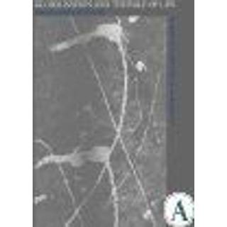 Globalisation and the Rule of Law