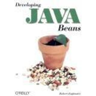 Developing Java Beans
