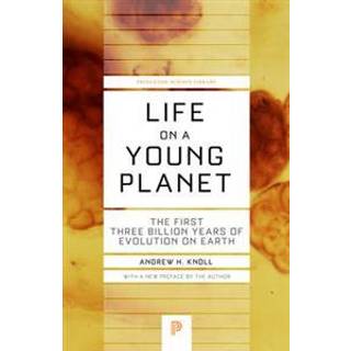 Life on a Young Planet