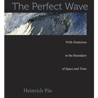 The Perfect Wave