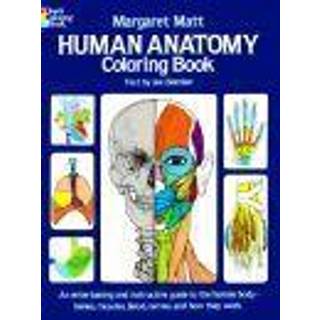 Human Anatomy