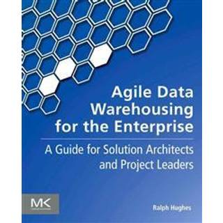 Agile Data Warehousing for the Enterprise