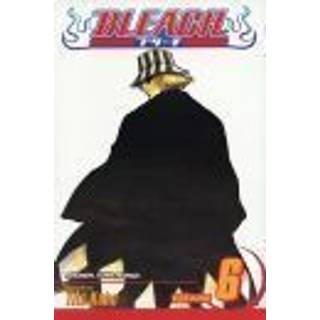Bleach, Vol. 6