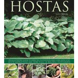 Hostas