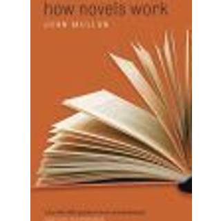 How Novels Work