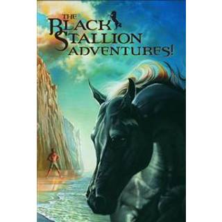 The Black Stallion Adventures