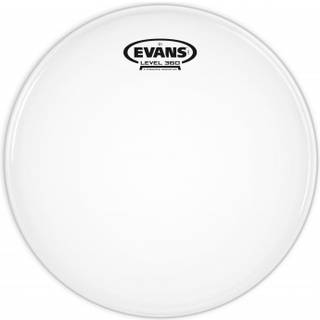 Evans B12G1
