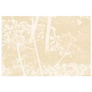 Cow Parsley - White & Yellow