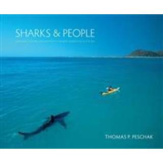 Sharks and People
