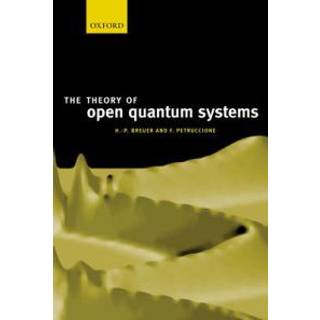 The Theory of Open Quantum Systems