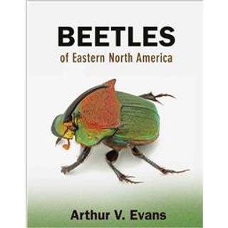 Beetles of Eastern North America