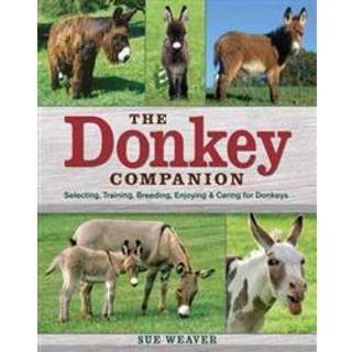 Donkey Companion
