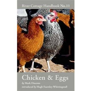 Chicken & Eggs