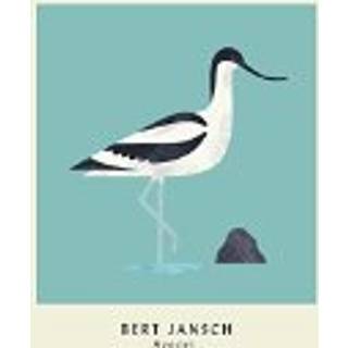 Bert Jansch - Avocet