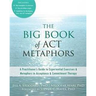 The Big Book of ACT Metaphors