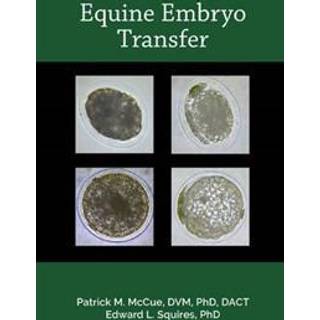 Equine Embryo Transfer
