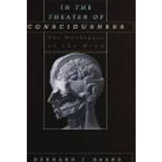 In the Theater of Consciousness