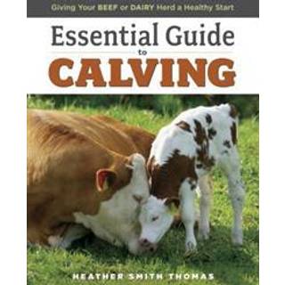 Essential Guide to Calving