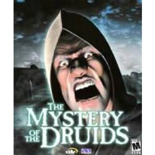 The Mystery of the Druids Steam Key GLOBAL