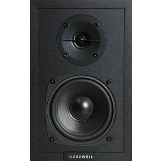 Kurzweil KS-40A Aktiv studiemonitor 10 Stk.