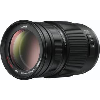 Panasonic Lumix G Vario 100-300mm f/4.0-5.6 II/Power