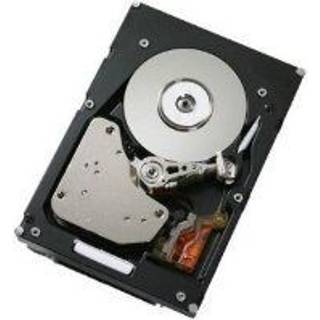 IBM 900GB 2.5IN 10.000 RPM - 900GB - Harddisk - 81Y9915 - SAS2 - 2.5"