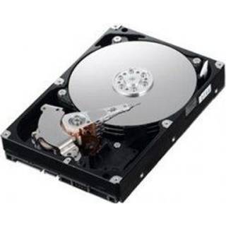 IBM - 1TB - Harddisk - 81Y9848 - SATA-600 - 2.5"