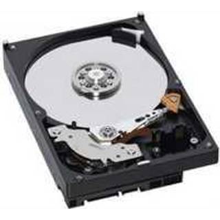 IBM 300GB 10K 6Gbps SAS 2.5 SFF G2 - 300GB - Harddisk - 90Y8877 - SAS2 - 2.5"