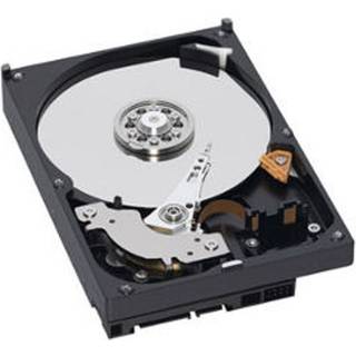 WESTERN DIGITAL HDD Caviar BLU 1TB 3.5 SATA 6Gbs 64MB