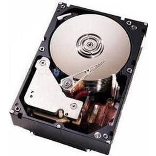 IBM - 146GB - Harddisk - 90Y8926 - SAS2 - 2.5"