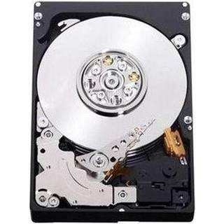 Fujitsu Business Critical - hårddisk - 2 - 250GB - Harddisk - S26361-F3708-L250 - SATA-600 - 2.5"