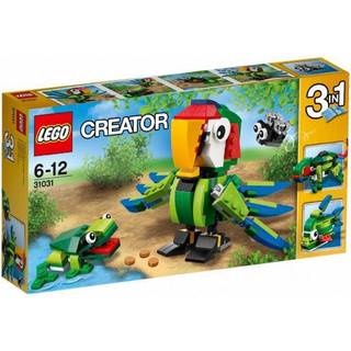 Rainforest Animals (31031)