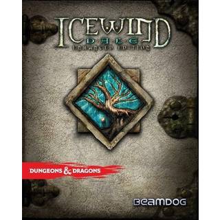 Icewind Dale: Enhanced Edition Steam (Digital Download)