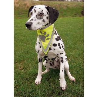 Trixie bandana m. refleks - S/M