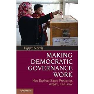 Making Democratic Governance Work