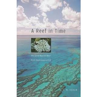 A Reef in Time