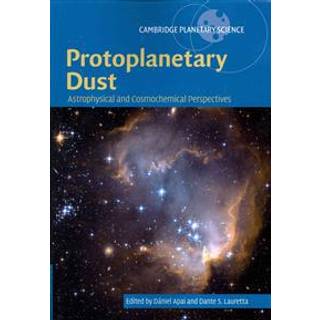 Protoplanetary Dust