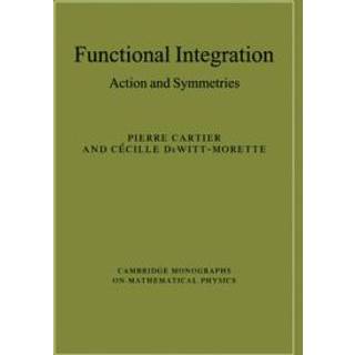 Functional Integration (4, 2010) | Pierre Cartier,Cecile DeWitt-Morette