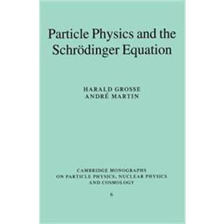Particle Physics and the Schrodinger Equation