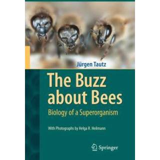 The Buzz about Bees